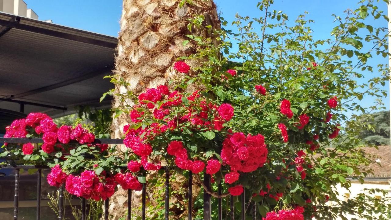 באניוס דה מונטמאיור Hotel Rural El Molino מראה חיצוני תמונה